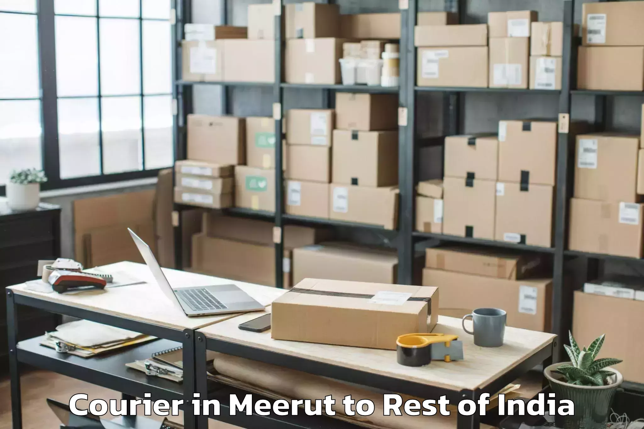 Affordable Meerut to Mogula Pally Courier